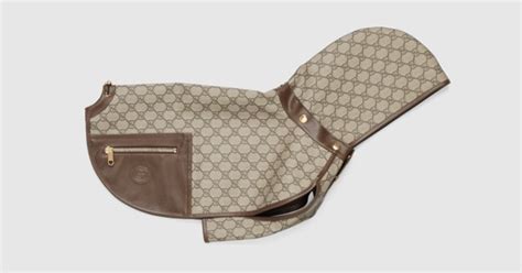 gucci per cani